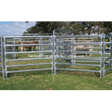 Cattle Panel - 6 Bar Economy 1.8m High